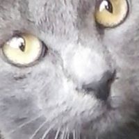 Shannon Baird Photo 14