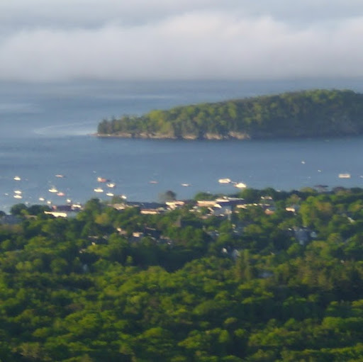 Sally Howard Photo 31