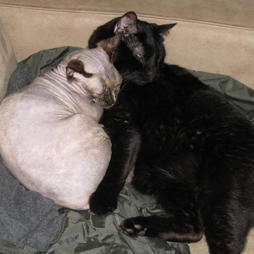 Erica Harmon Photo 6