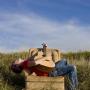 Dustin Phillips Photo 41