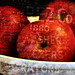 Laurie Apple Photo 13