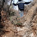 Mindy Wheeler Photo 22