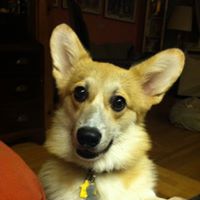 Cynthia Archer Photo 19