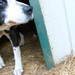 Maye Brown Photo 4