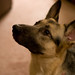 Scott Trager Photo 8