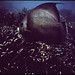 John Few Photo 10