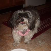 Teresa Winters Photo 19