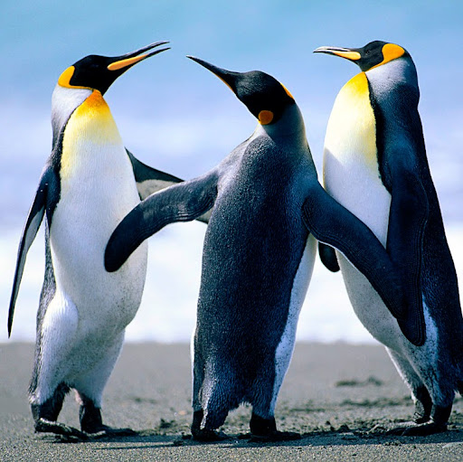 Susan Andersen Photo 11