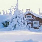 Mark Sherer Photo 20