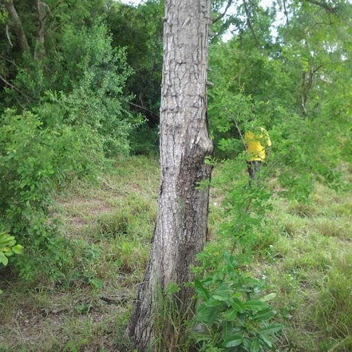 Chris Paschal Photo 8