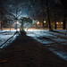 Carol Alley Photo 13
