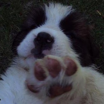 Alyssa Carey Photo 22