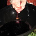 Brenda Buck Photo 12