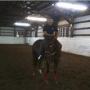 Brandon Robison Photo 15