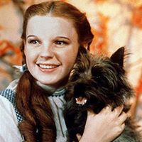 Robin Hurst Photo 20