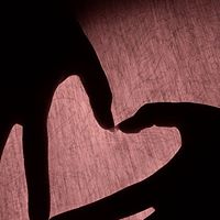 Christian Tracy Photo 21