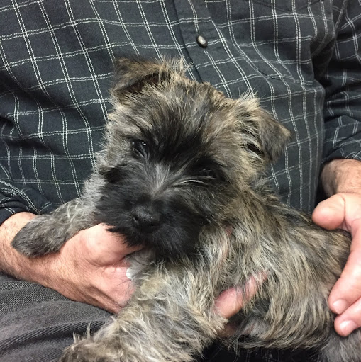 Paul Honeycutt Photo 21