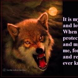 Tracy Mcgee Photo 17