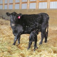 Dave Engle Photo 34 Dave Engle Photo 34