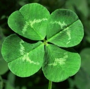 Aimee Hansen Photo 8