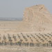 David Balser Photo 12