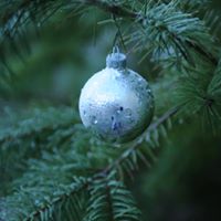 Connie Hoover Photo 31