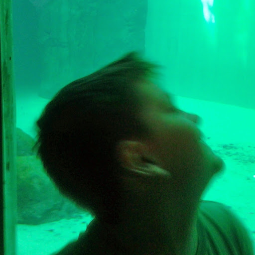 Kelly Breen Photo 18