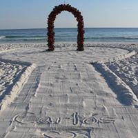 Carlos Webster Photo 12