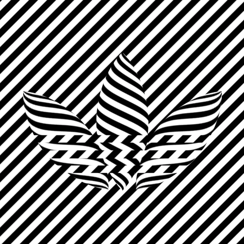 Pamela Doherty Photo 13