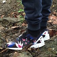 Neal Robinson Photo 3