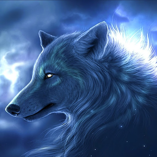 Thomas Combs Photo 16