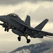 Douglas Hawk Photo 20