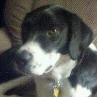 Kathleen Scherer Photo 8