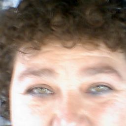 Diane Rogers Photo 35
