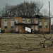 James Brawley Photo 35