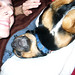 Kelly Hash Photo 18