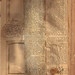 Elizabeth Fitzpatrick Photo 31