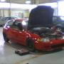 Michael Haggard Photo 9