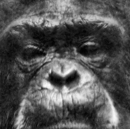 Jason Brunelle Photo 10