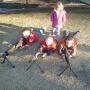 Michelle Arthur Photo 9