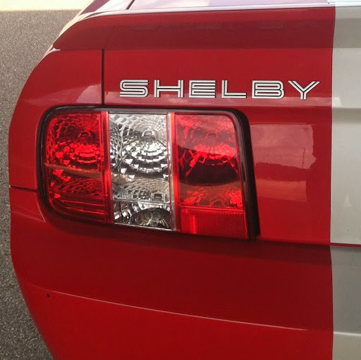 David Rochelle Photo 25