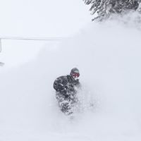 Daniel Talley Photo 33