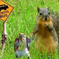 Sharon Franke Photo 21