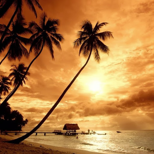 James Crenshaw Photo 10 James Crenshaw Photo 10