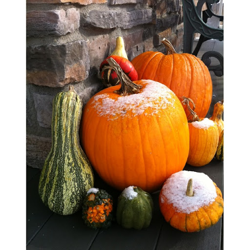 Jennifer Neuwald Photo 3