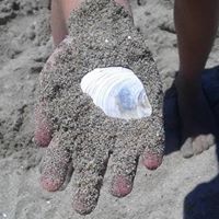 Summer Mitchell Photo 32