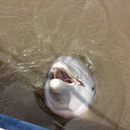 Richard Dolan Photo 31 Richard Dolan Photo 31