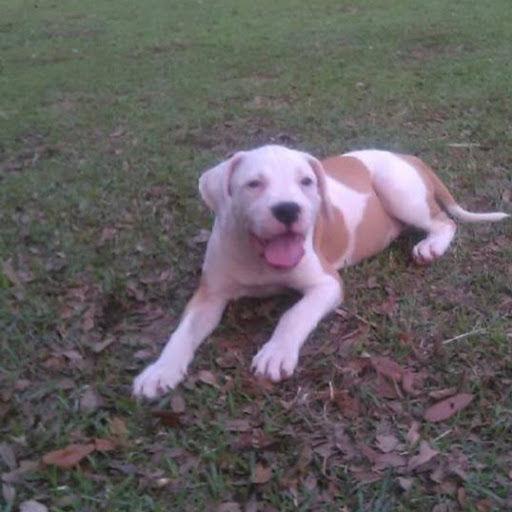 Stephen Simmons Photo 56