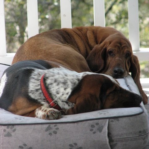 Cindy Marsh Photo 13