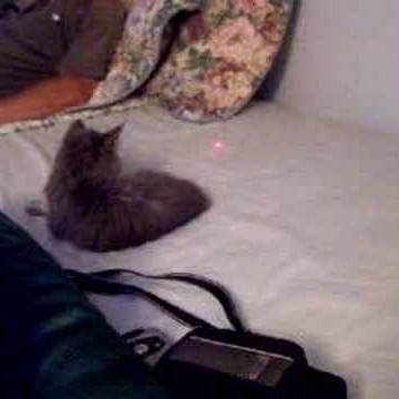 Jennifer Markey Photo 10